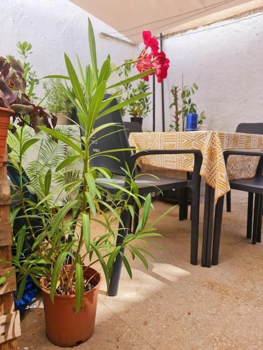 Estancia De Ensueno Y Relax Parking Gratuito Grenade Extérieur photo